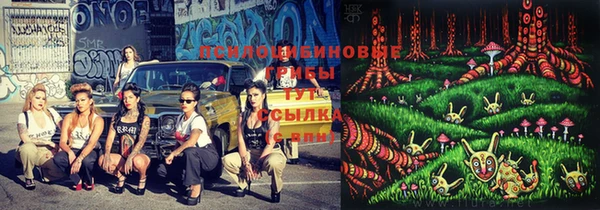 амф Гусь-Хрустальный