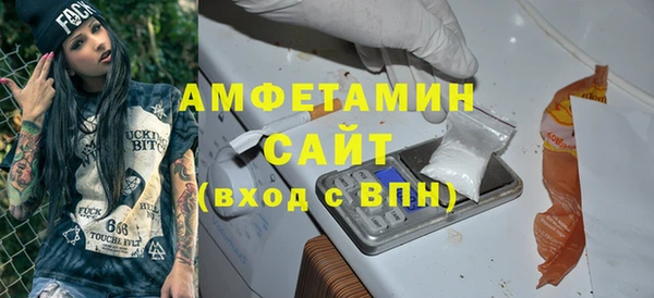 амф Гусь-Хрустальный