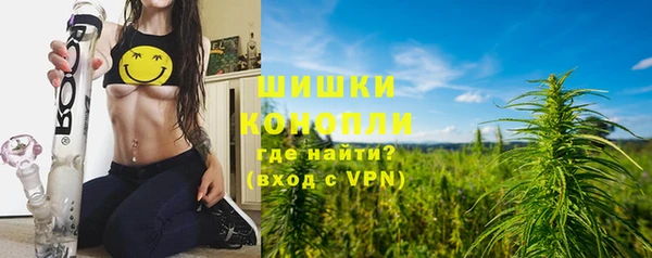 амф Гусиноозёрск
