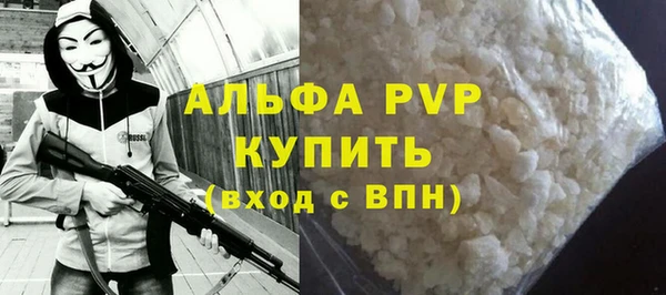 амф Гусь-Хрустальный