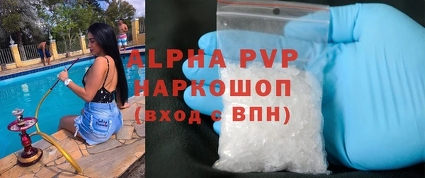 амф Гусиноозёрск